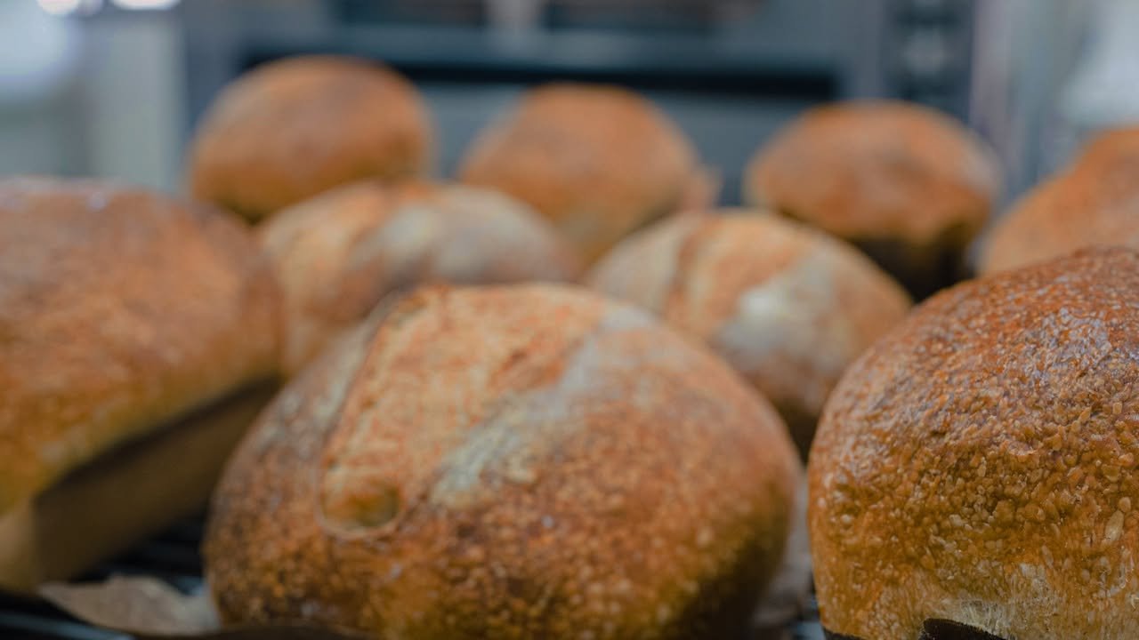 Freshly baked sourdough loaves cooling on a rack